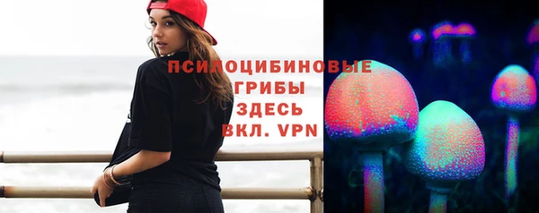 меф Арсеньев