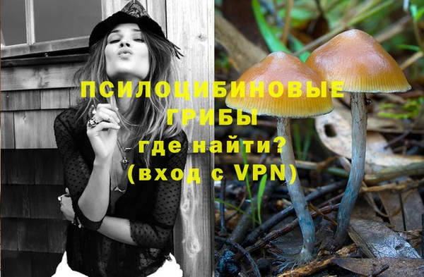 меф Арсеньев