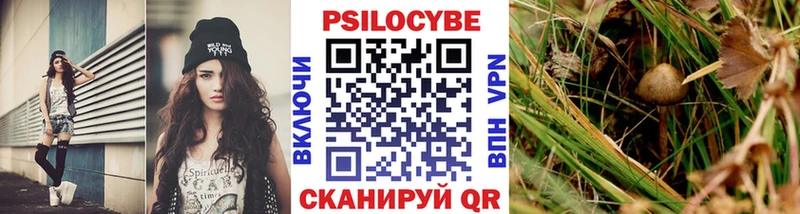 кракен ссылки  Сухиничи  Галлюциногенные грибы ЛСД  закладки 